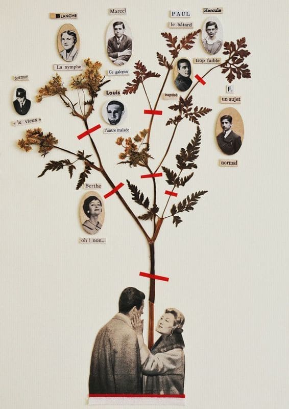 The Family Tree