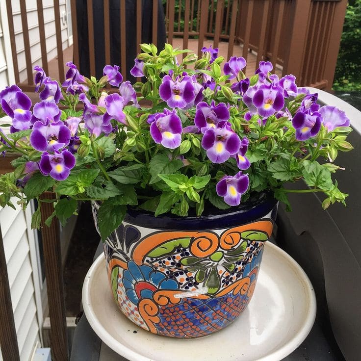 15 Shade-Loving Plants That Beat the Heat (And Still Look Gorgeous Doing It)