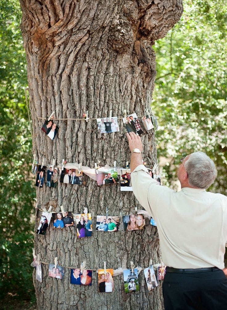 20 Whimsical Tree Trunk Projects That Transform Your Outdoor Space Tree Photo Display
