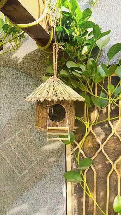 Tropical Tiki Hut Birdhouse