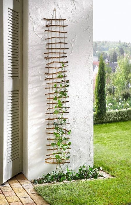 Twig Wall Trellis for Climbing Plants