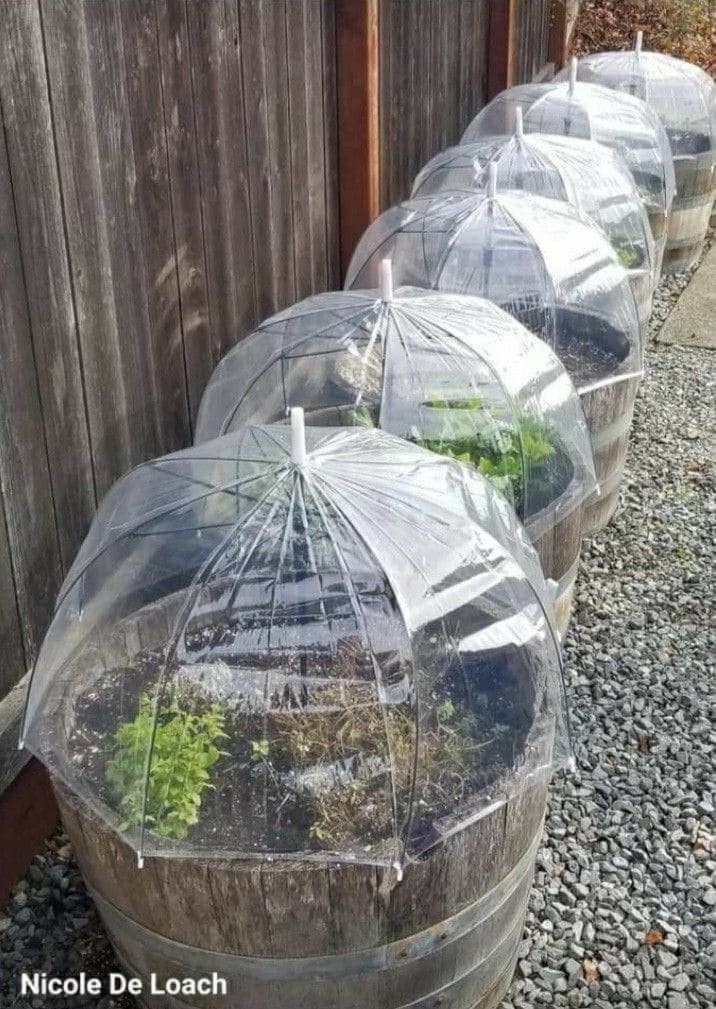 Umbrella Barrel Greenhouse Covers