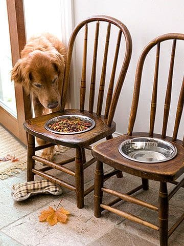 Upcycled Chair Dog Feeding Station