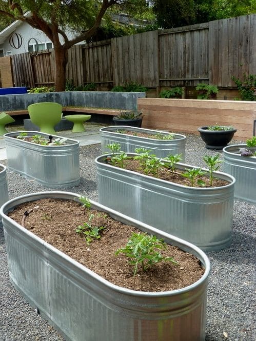 Upcycled Galvanized Tubs as Modern Raised Garden Beds