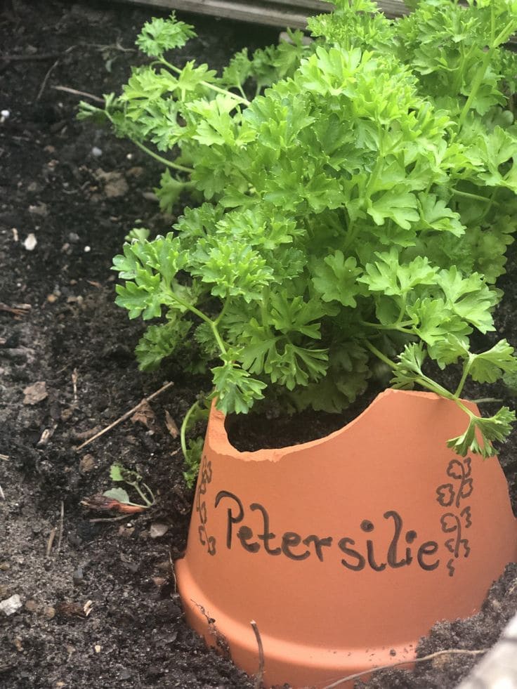 Upcycled Pot Herb Marker