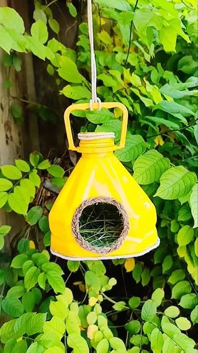 20 DIY Birdhouse Ideas That’ll Make Birds Flock to Your Garden