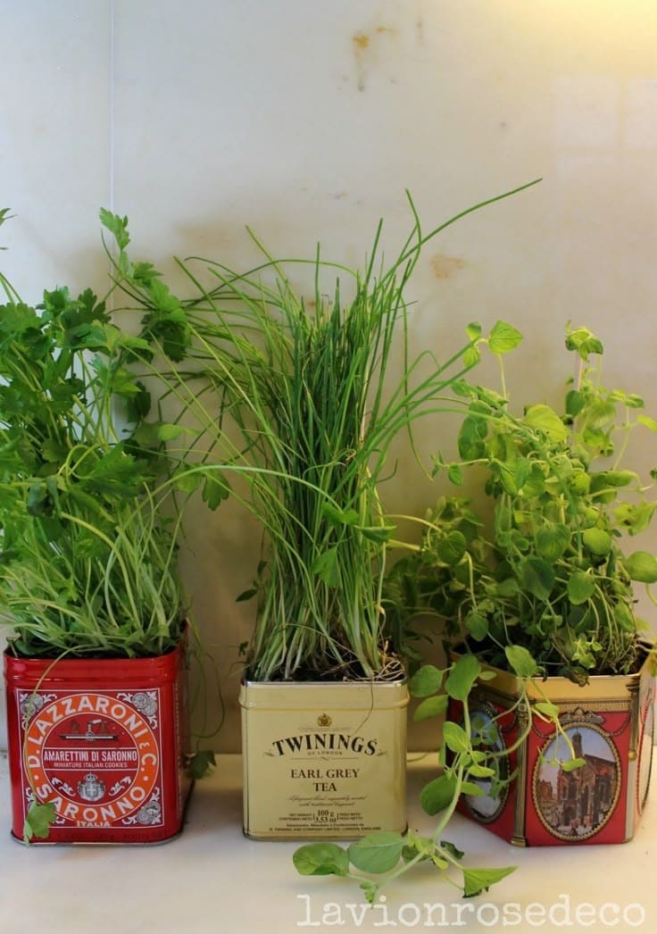 Vintage Tin Herb Garden