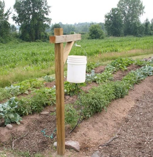 Chapin Bucket Irrigation Conserves Every Drop And Here's Your Guide