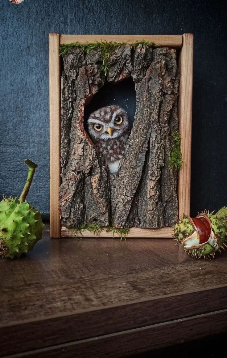 Whimsical Tree Bark Owl Shadow Box
