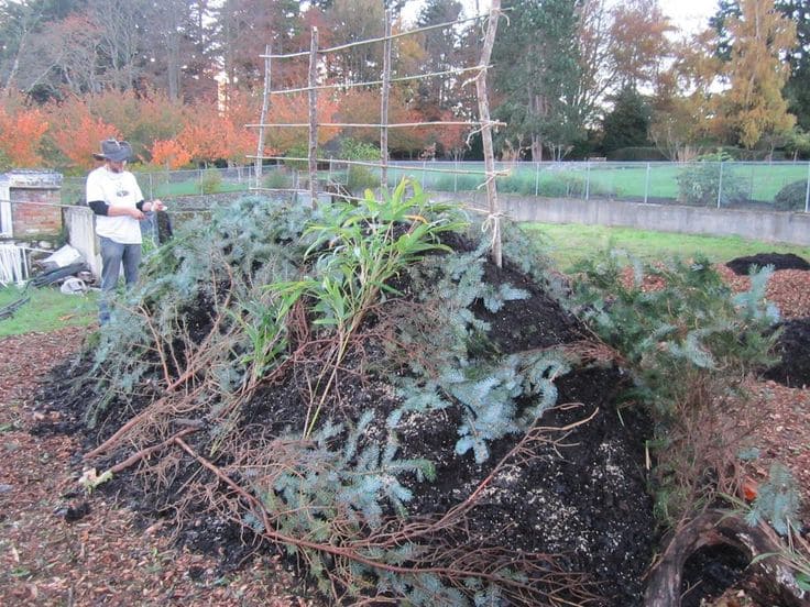 How to Build A Hugelkultur Gardening Bed That Feeds Itself And Thrives For Years