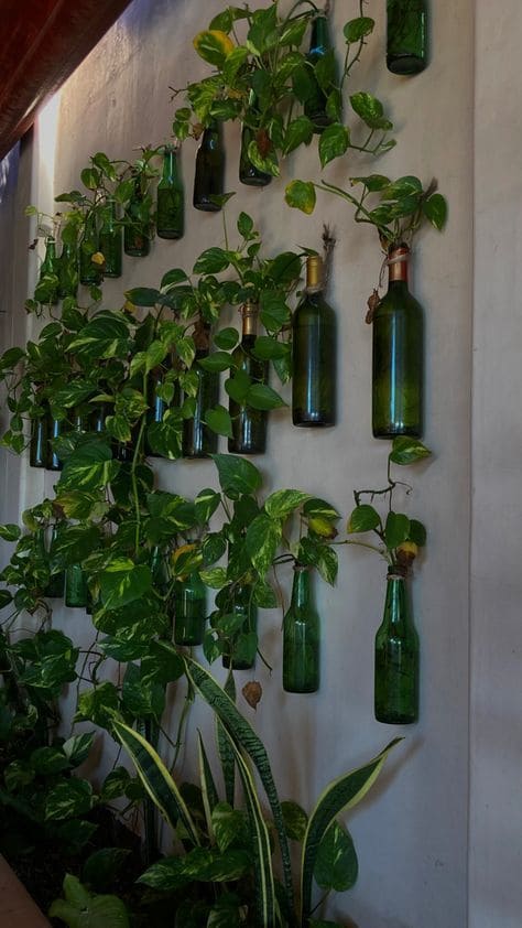 Wine Bottle Vertical Garden Wall