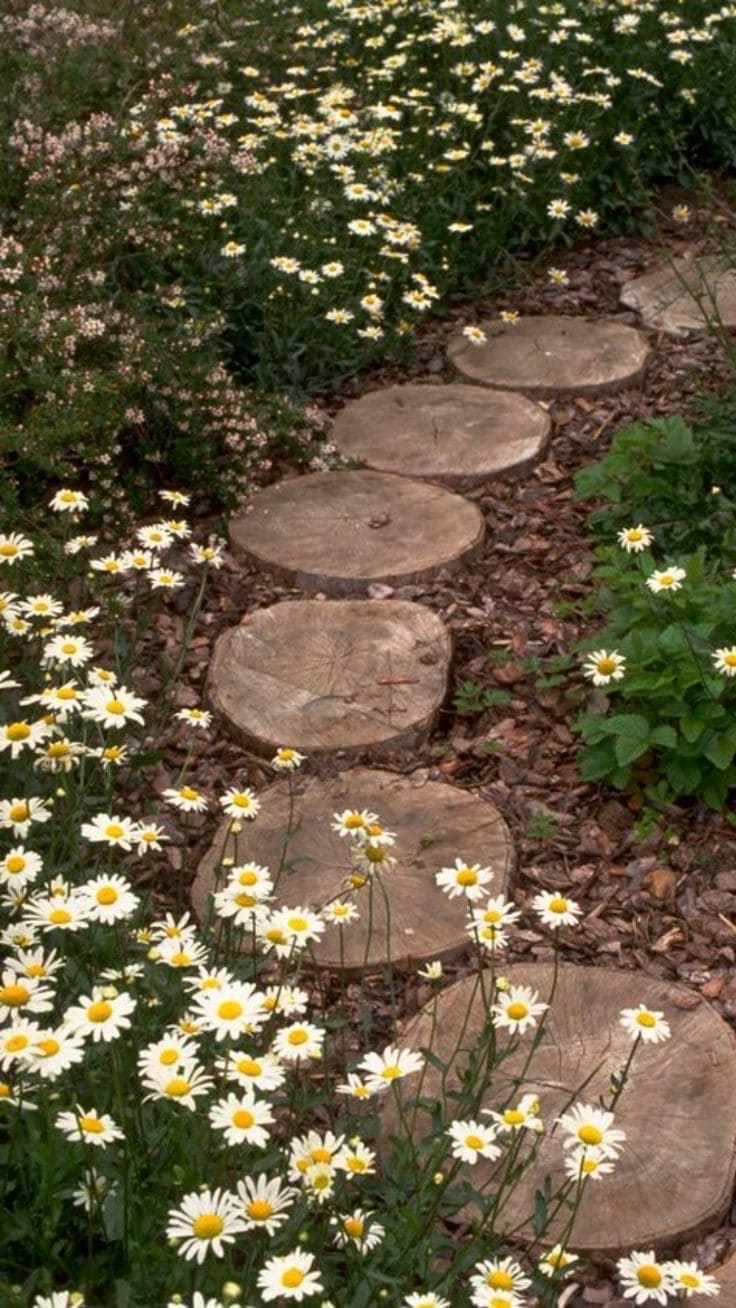 Wood Slice Stepping Path Among Daisies