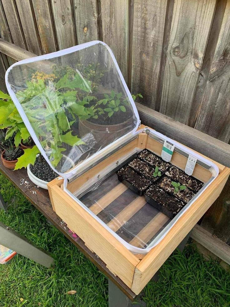 Wooden Frame Seedling Cold Frame