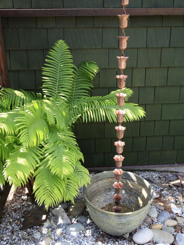 19 Rainwater Collecting Ideas That Are Functional, Beautiful, and Easy to Build