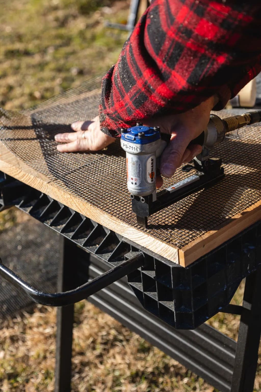 How to Build a Bat House to Attract Nature’s Pest Patrol