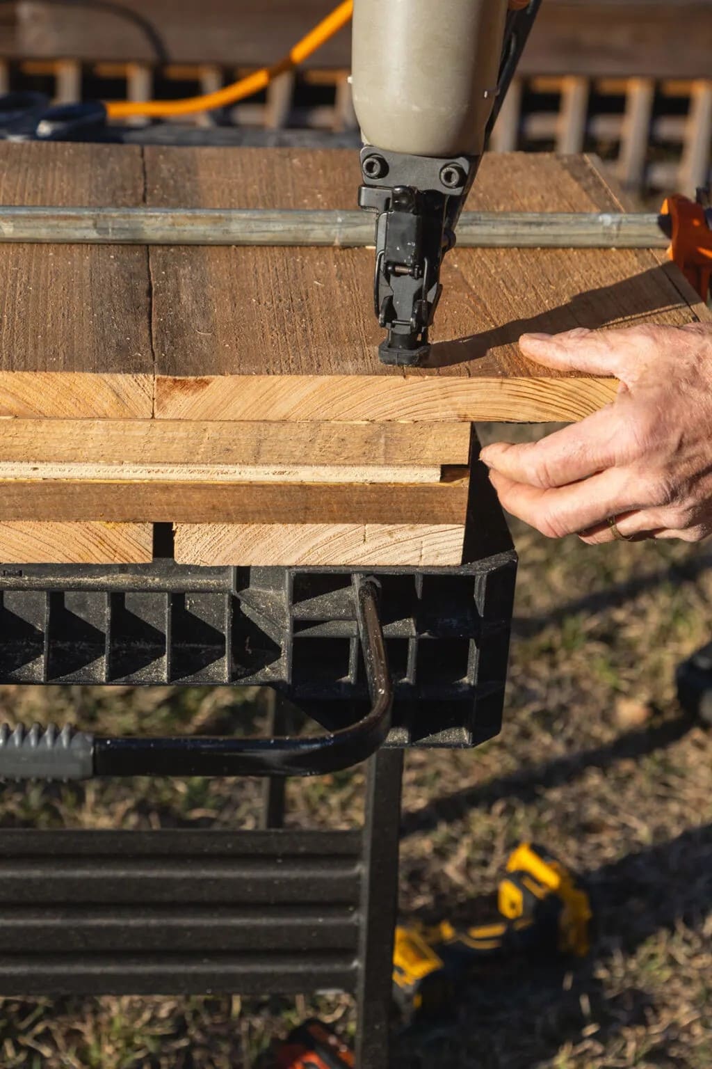 How to Build a Bat House to Attract Nature’s Pest Patrol