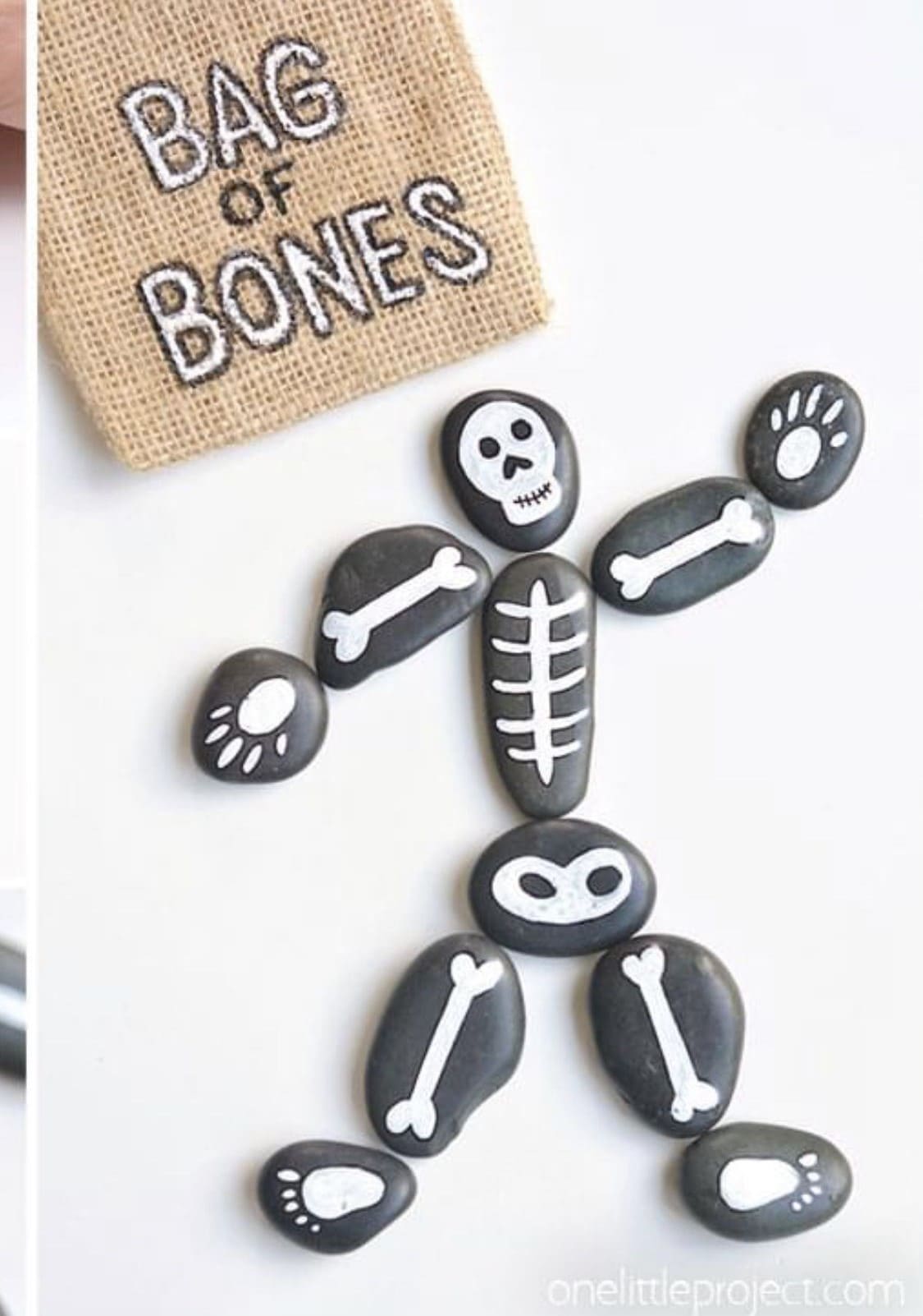 Bag of Bones Rock Skeleton
