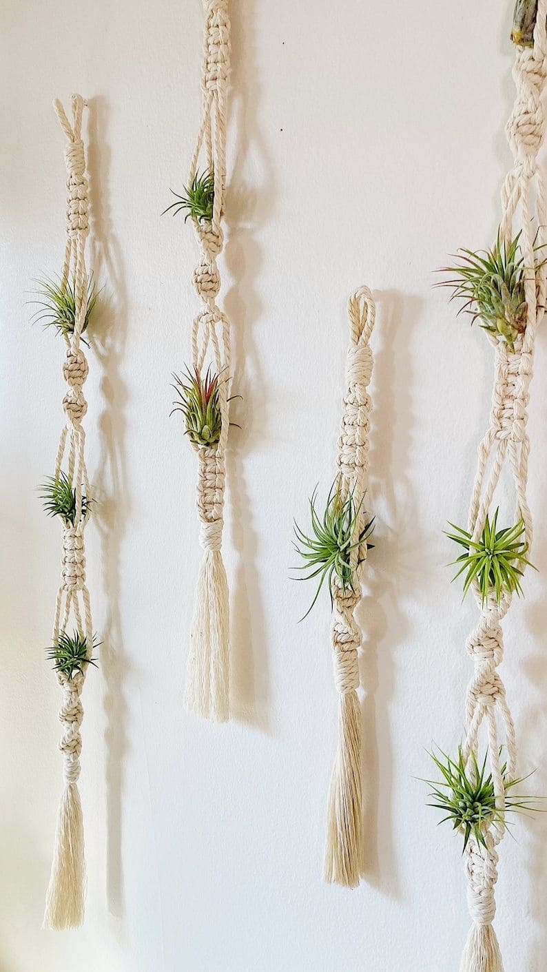 Boho Macrame Air Plant Hangers