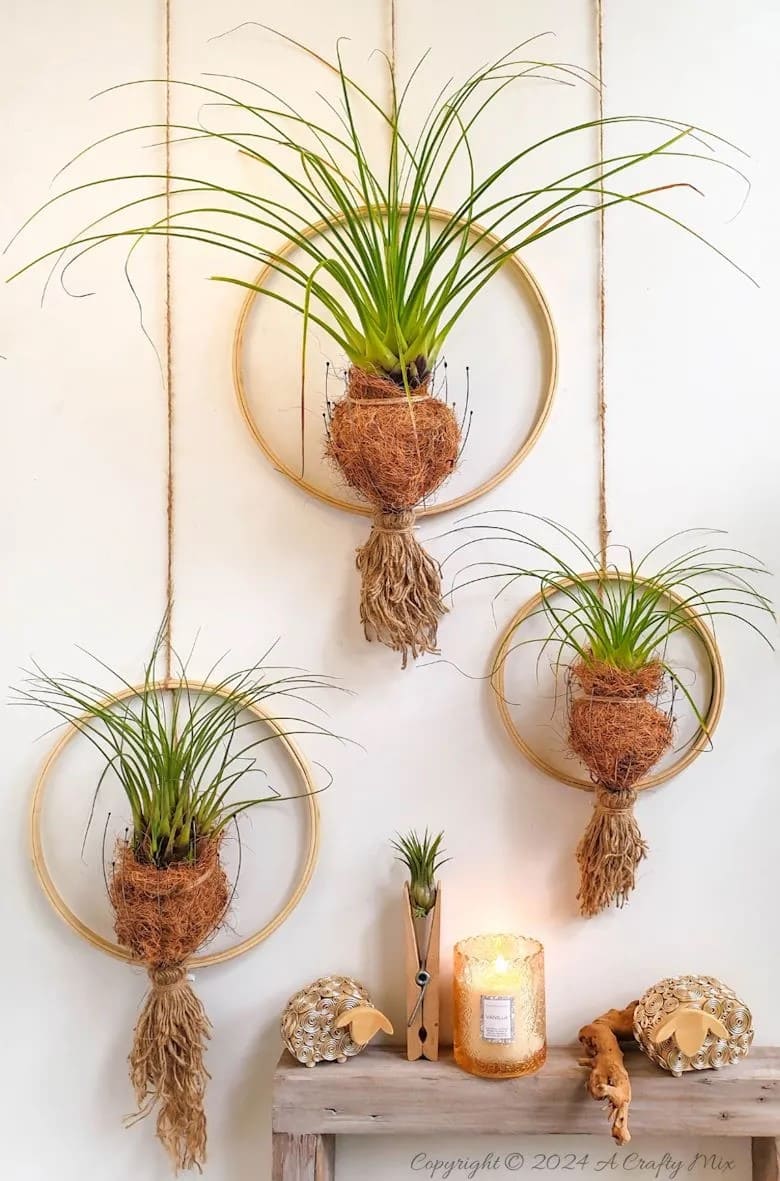 Boho Ring Kokedama Wall Display