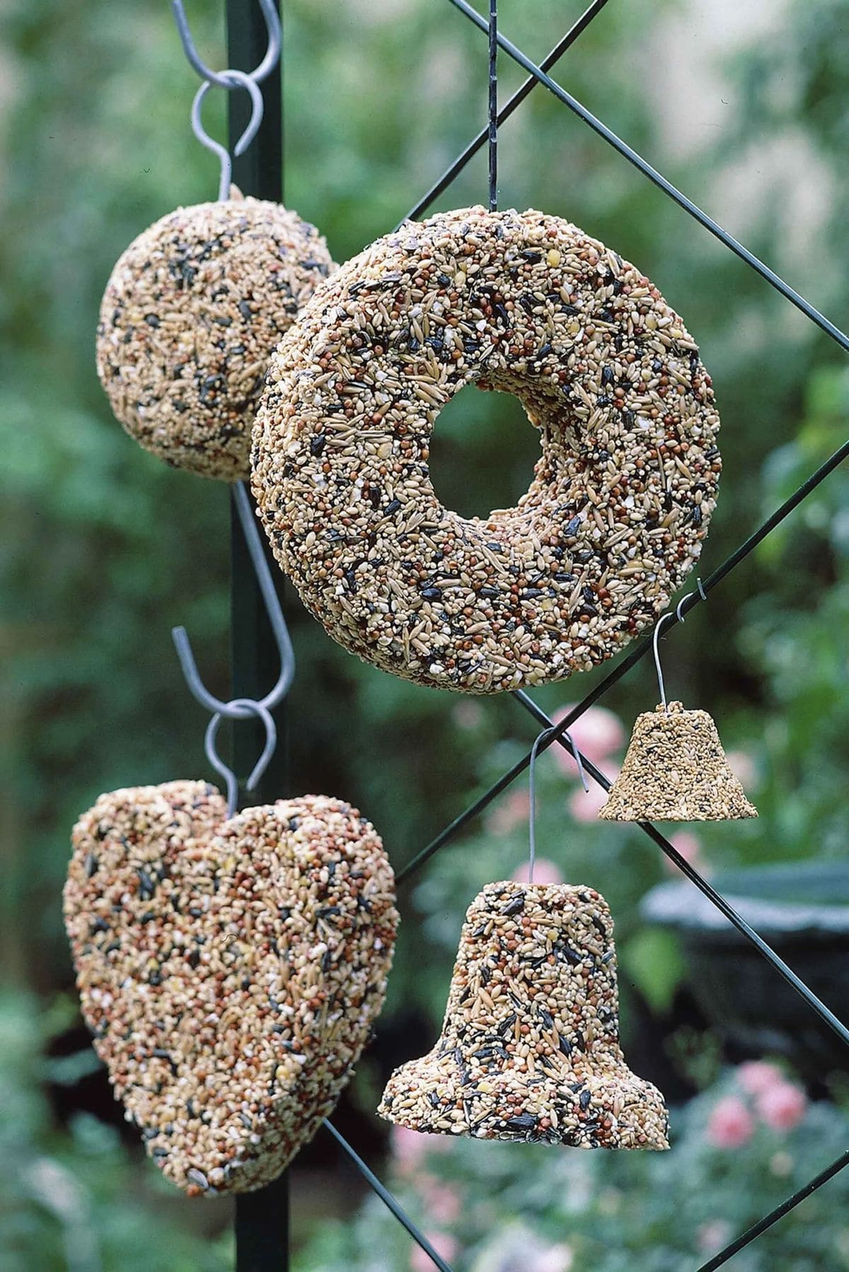Cookie Cutter Birdseed Feeders