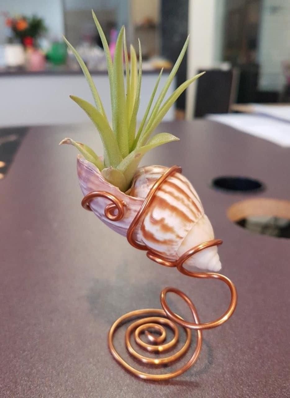 Copper Swirl Shell Holder