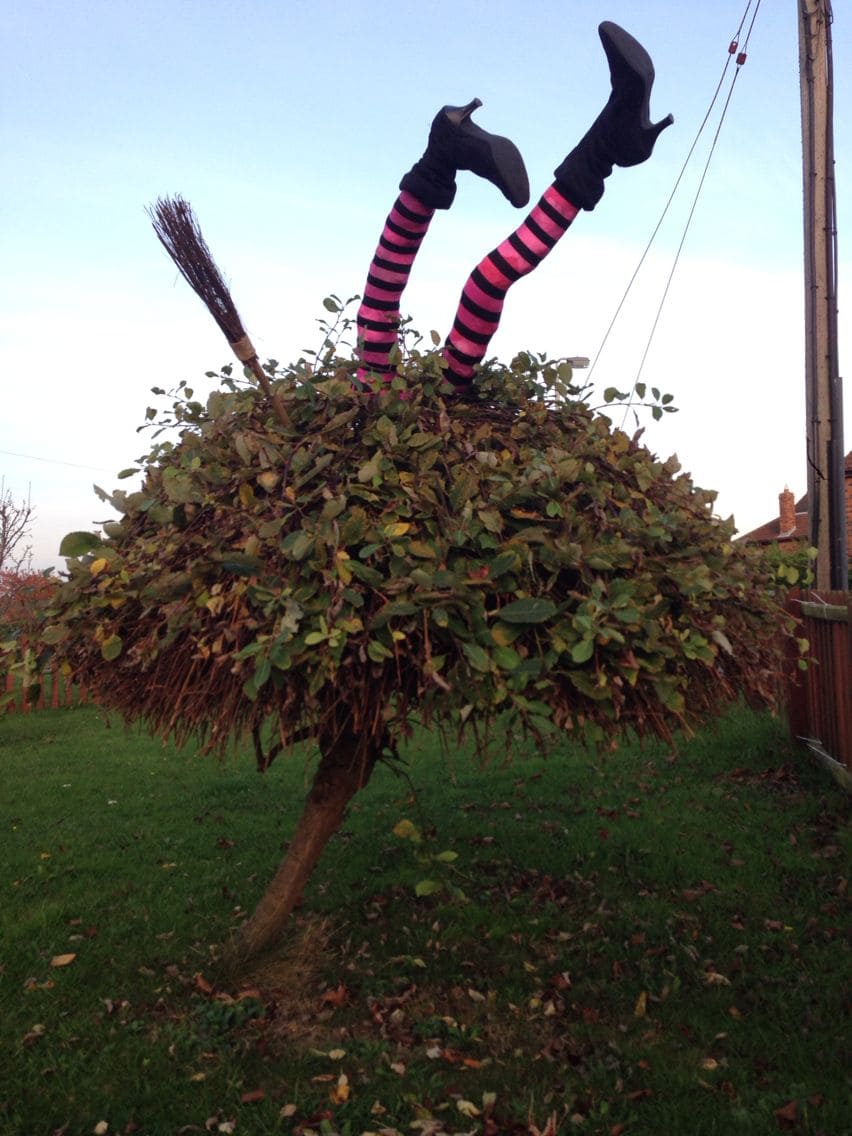 Crashed Witch in a Shrub
