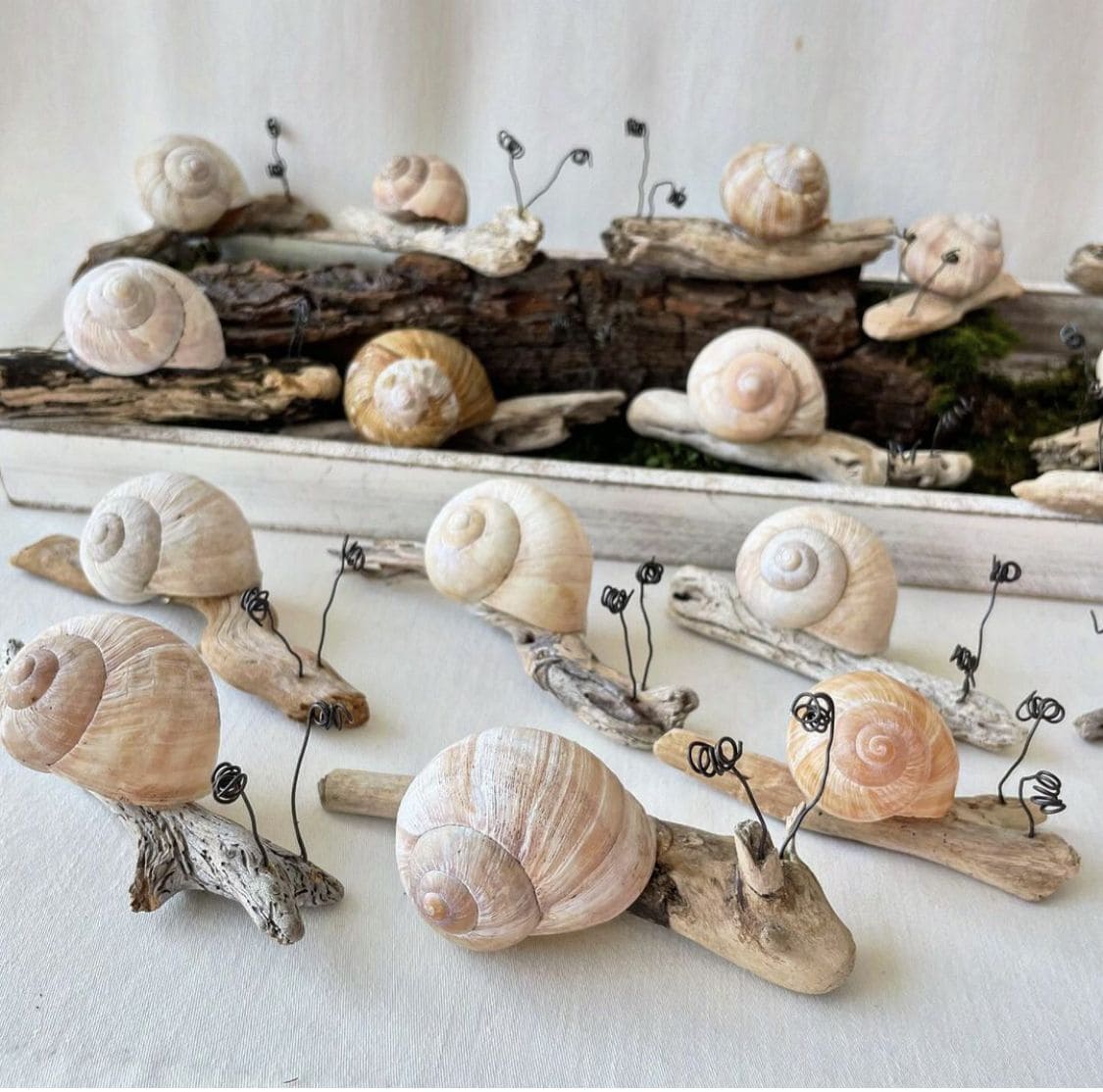 Driftwood Snail Garden Figures