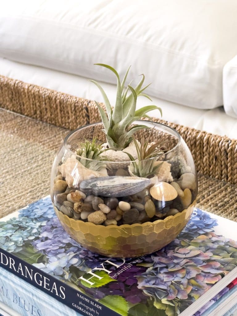 Elegant Beach-Inspired Air Plant Terrarium
