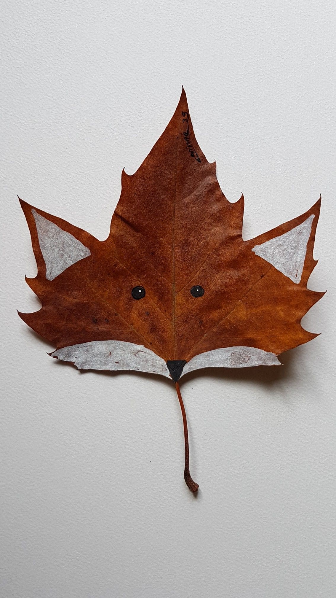 Fox Face Painted Leaf