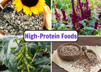 Boost Protein in Your Garden With These 8 Super Foods Boost Protein in Your Garden With These 8 Super Foods