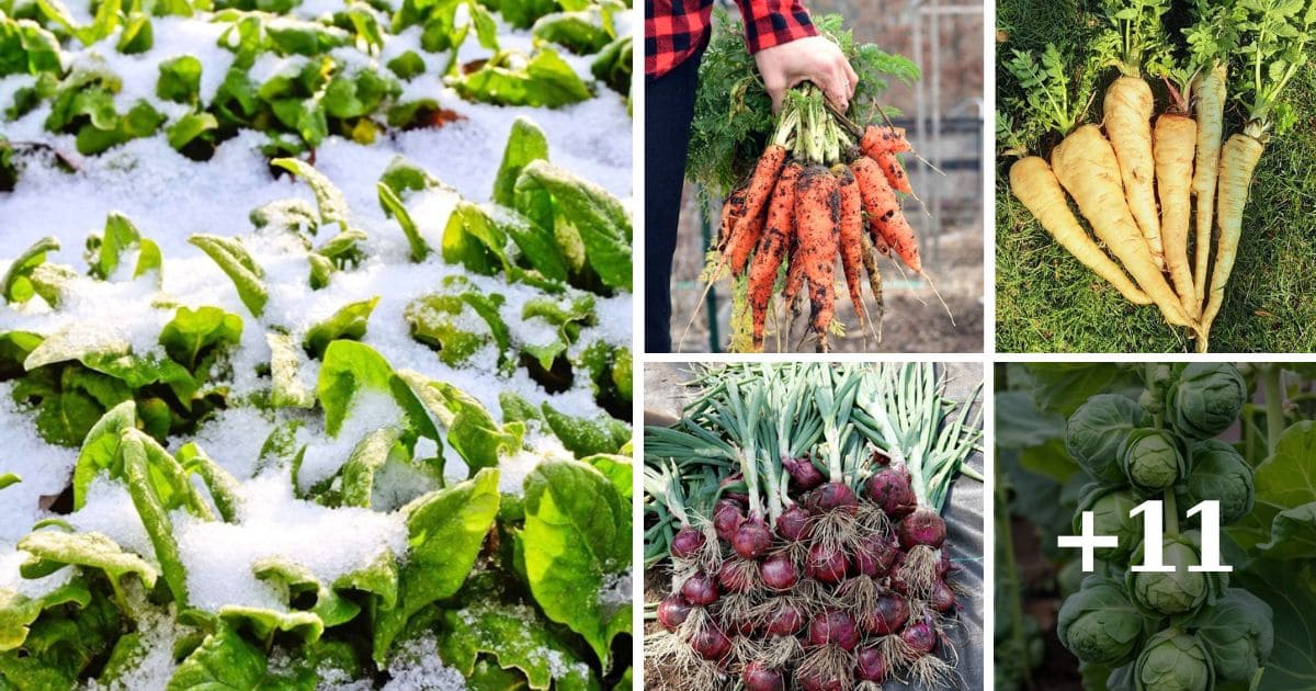 100 Common Vegetable Names to Learn in English visual data 6