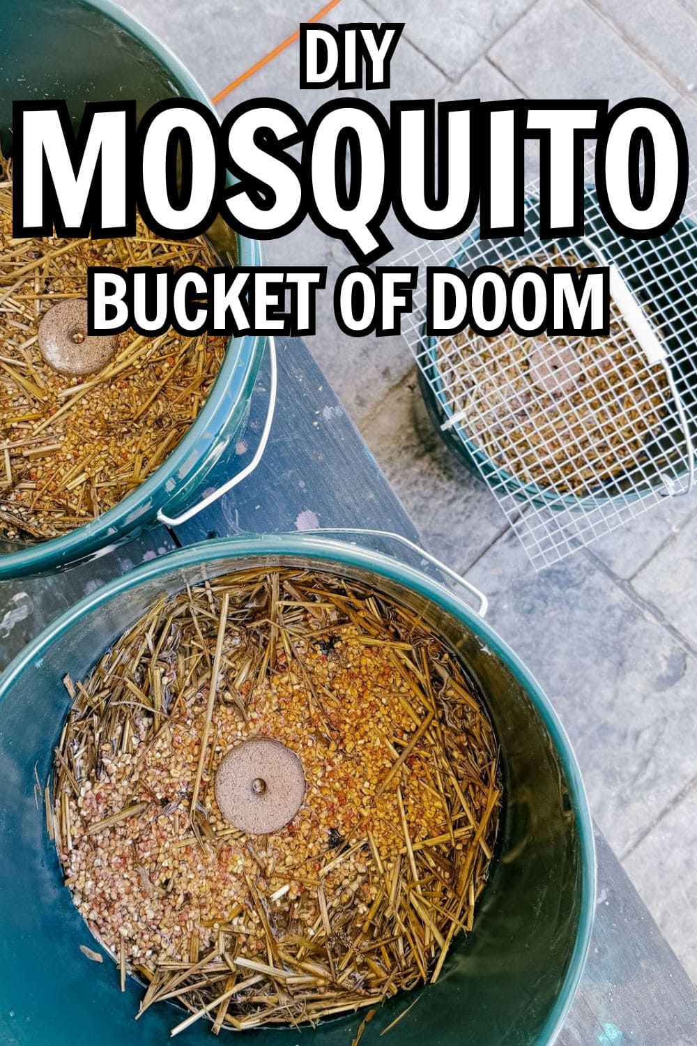 How to Kill Mosquitoes and Their Larvae with the Mosquito Bucket of Doom
