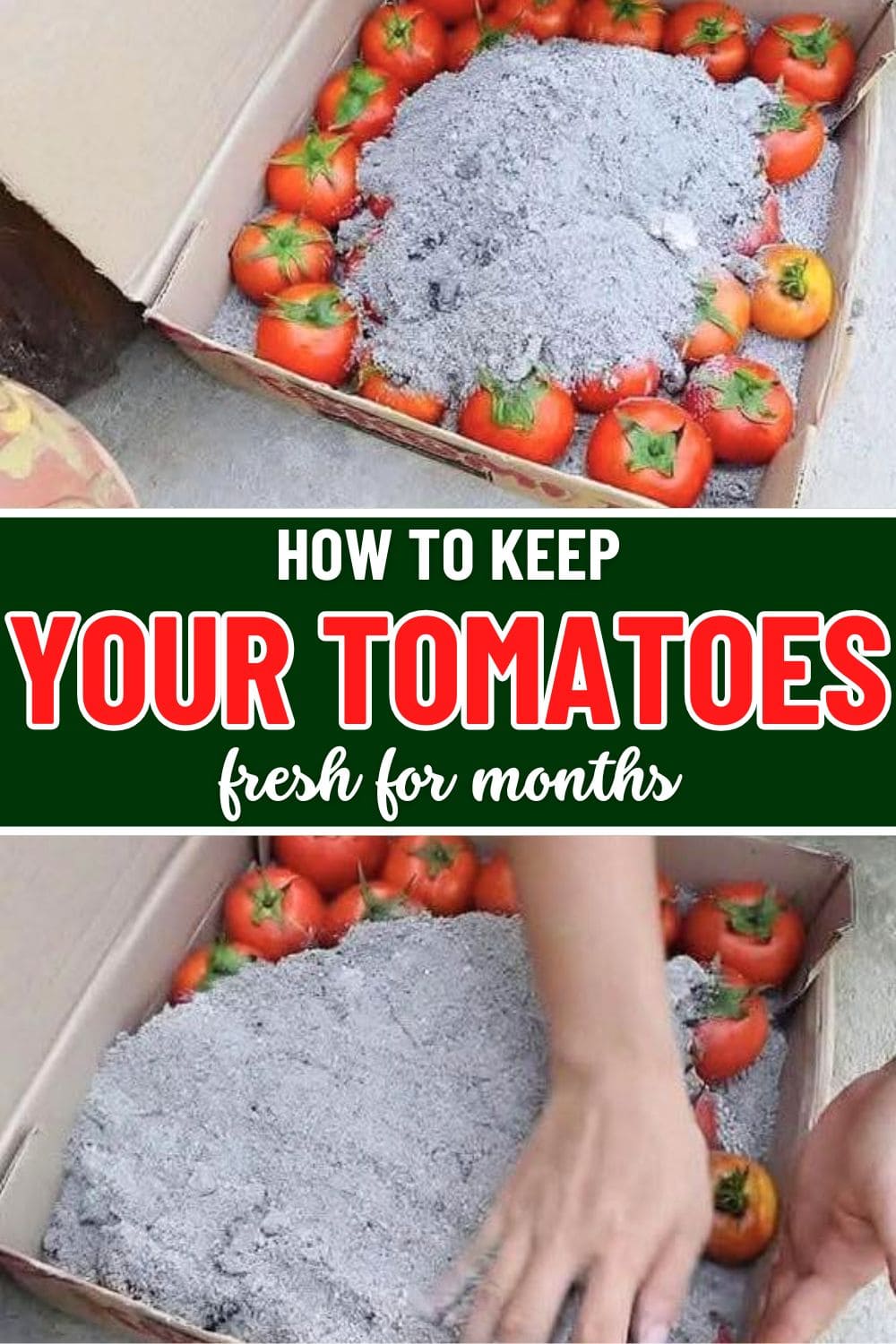 How to Keep Tomatoes Fresh for Months Using Wood Ash