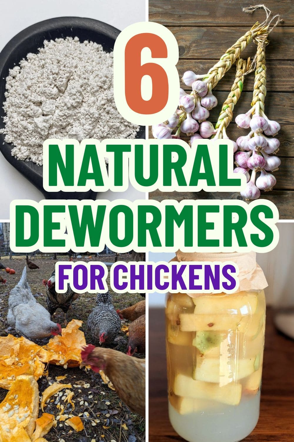 6 Natural Dewormers to Keep Your Chickens Healthy