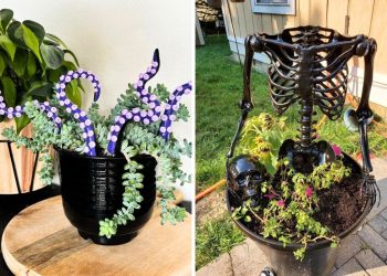 24 Creepy-Cool Halloween Planter Ideas to Haunt Your Home in Style