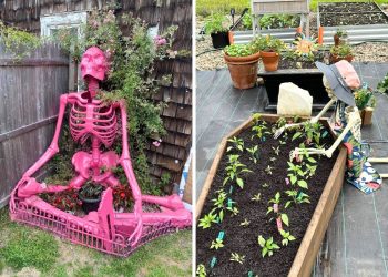 Turn Your Garden into a Bone-Afide Party With These 22 Skeleton Halloween Ideas