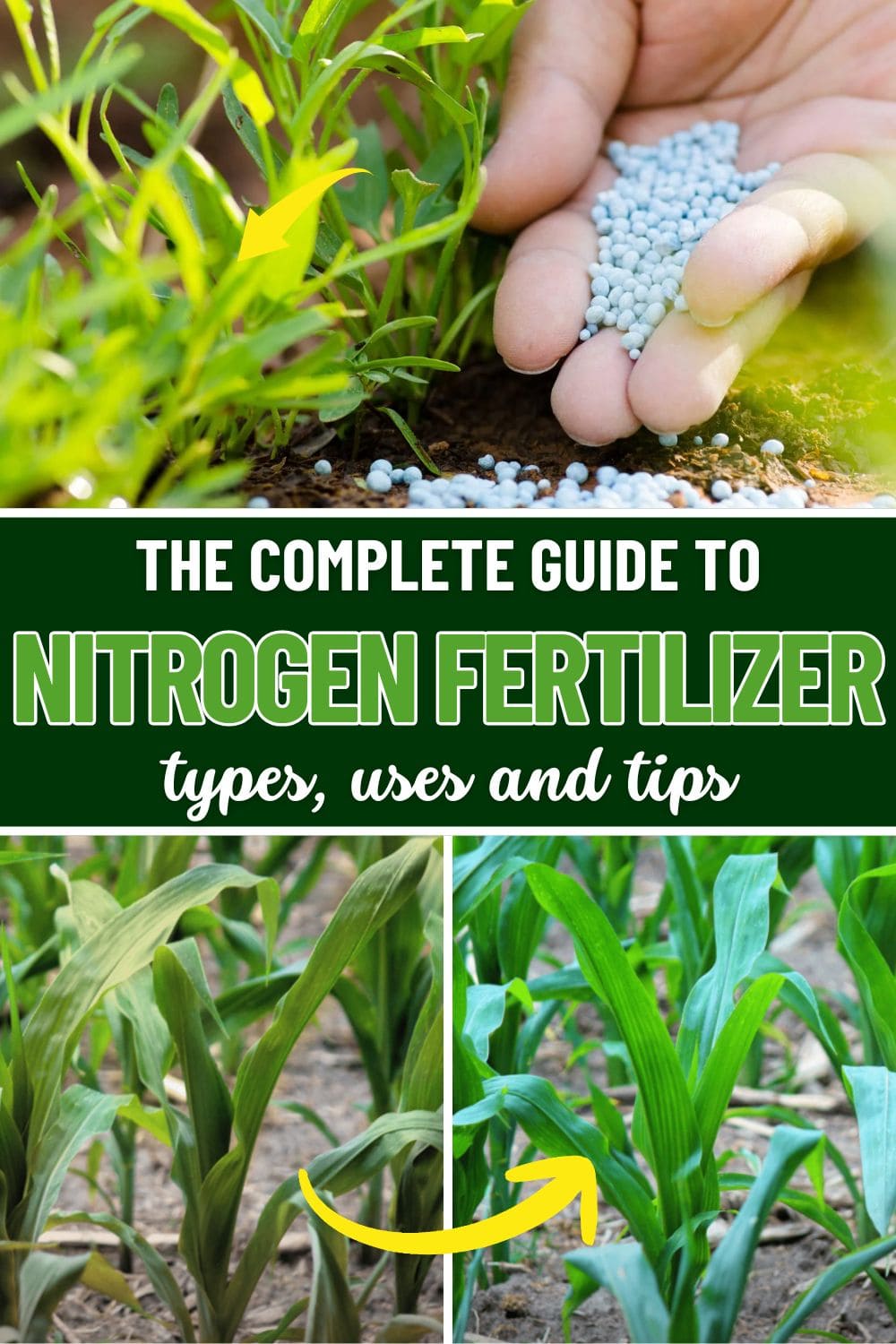 The Complete Guide to Nitrogen Fertilizer: Types, Uses, and Smart Tips for Gardeners