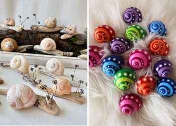 25 Inspiring Ways to Turn Snail Shells Into Stunning Handmade Decor