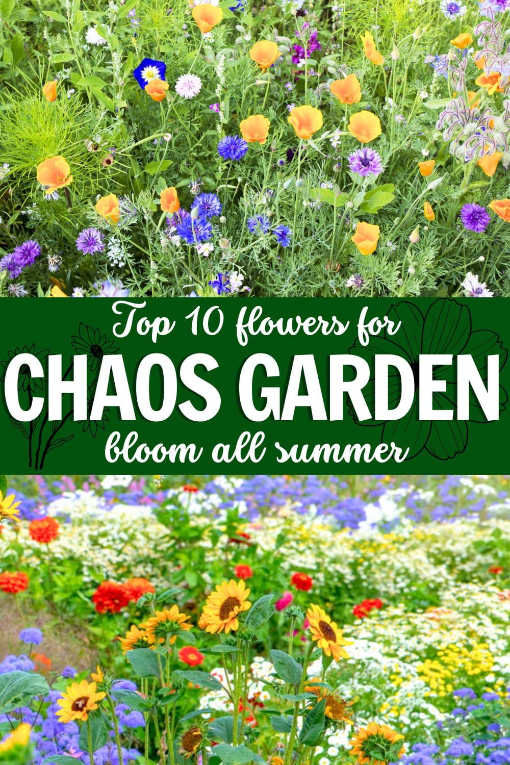10 Chaos Garden Flowers That Bloom All Summer and Fill Your Yard With Wild Beauty