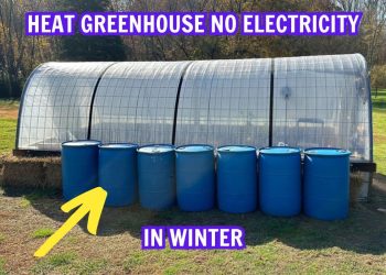 10 Ways to Heat Your Greenhouse in Winter Without Electricity