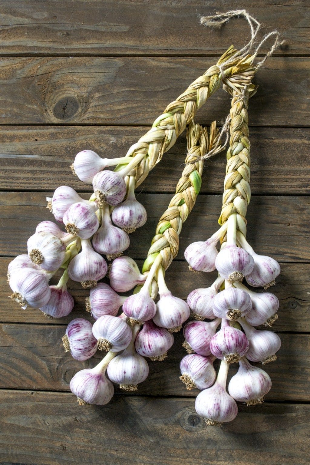 6 Natural Dewormers to Keep Your Chickens Healthy