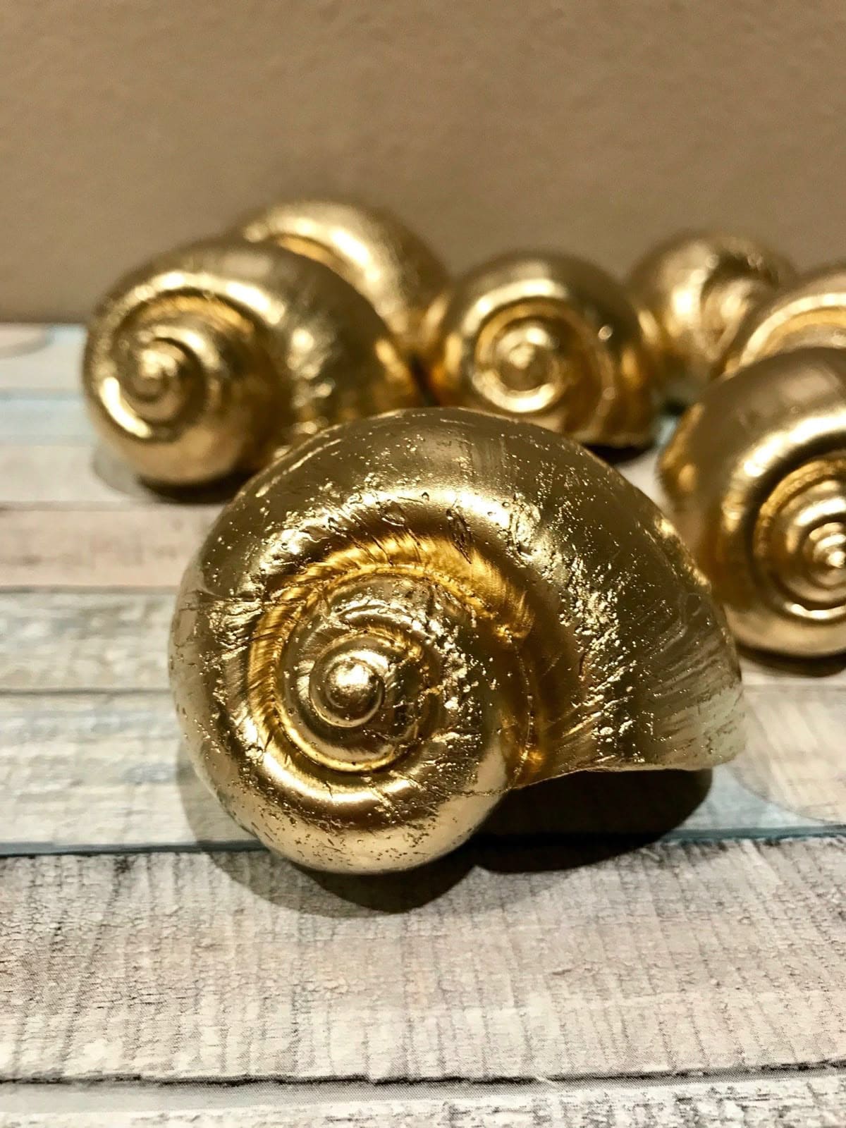 Gilded Snail Shell Decor