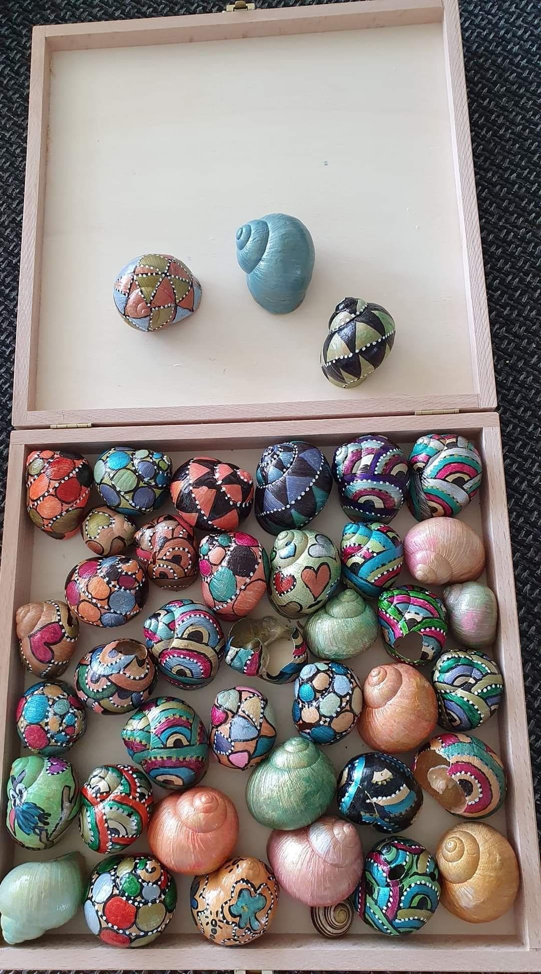 Hand-Painted Snail Shell Collection