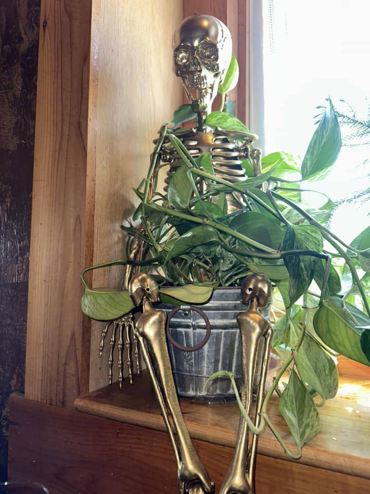 Haunted Houseplant Guardian