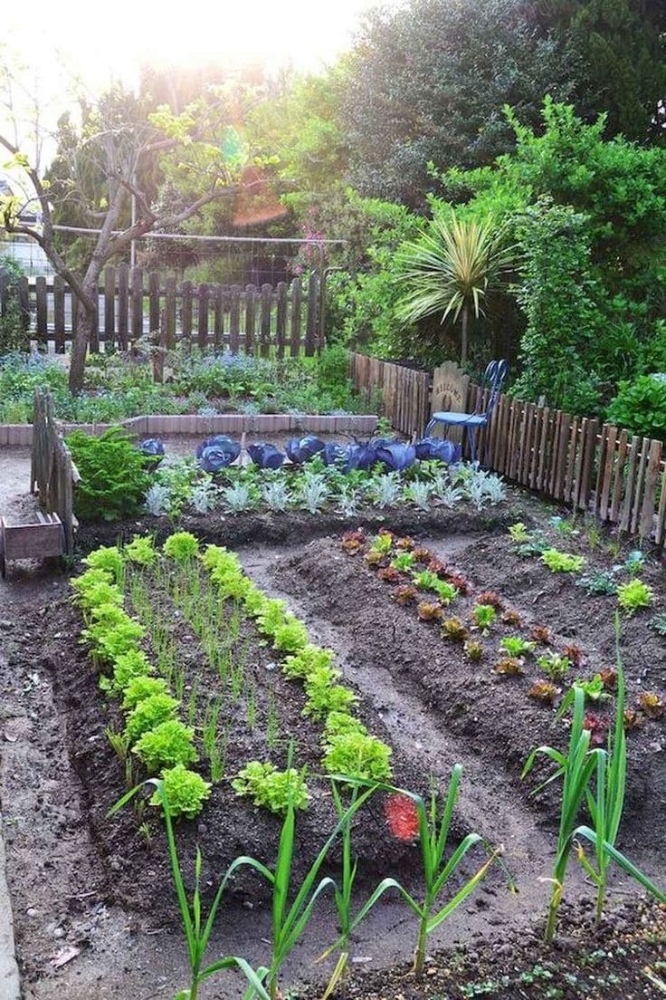 The Complete Guide to Nitrogen Fertilizer: Types, Uses, and Smart Tips for Gardeners