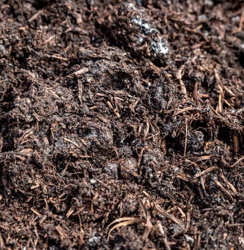 Many Gardeners Don't Know to Use Chicken Poop as Fertilizer. Here're The Right Way