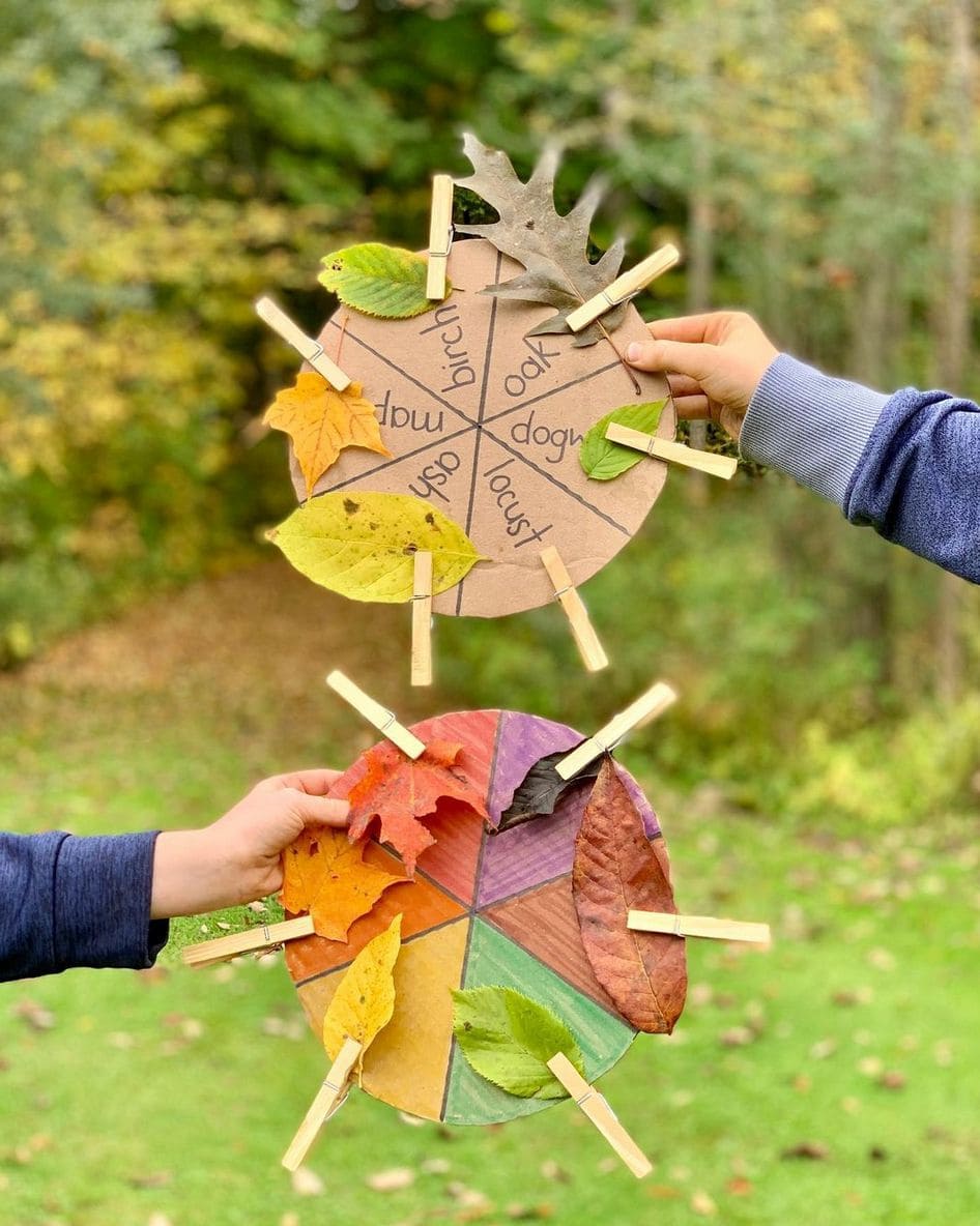 Leaf Matching Wheel for Tree ID Fun