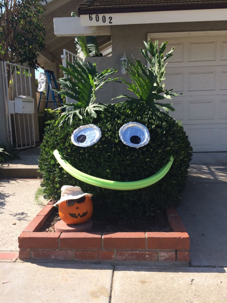 Leafy Grin and the Pumpkin Pal