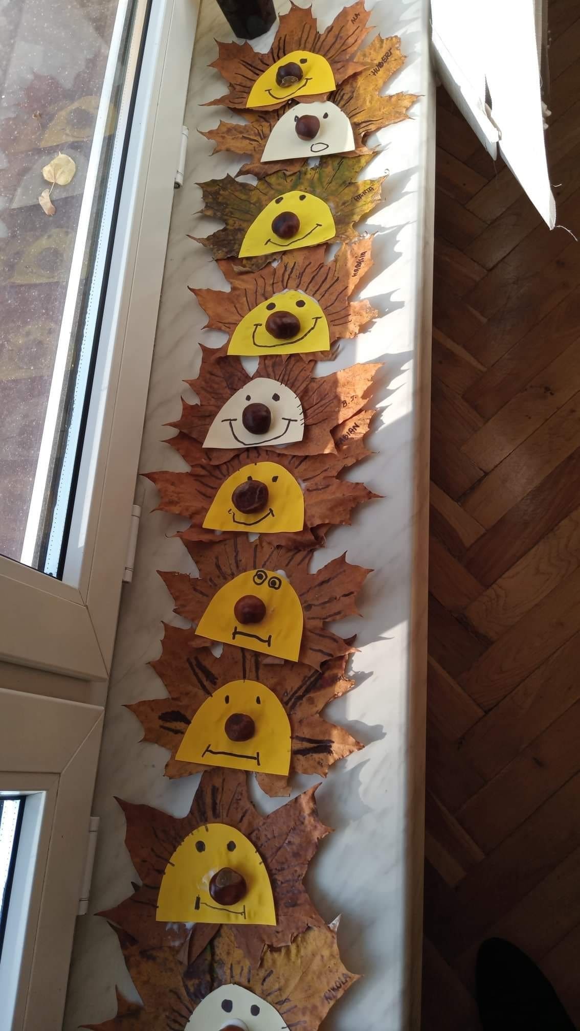 Leafy Hedgehog Faces with Chestnut Noses