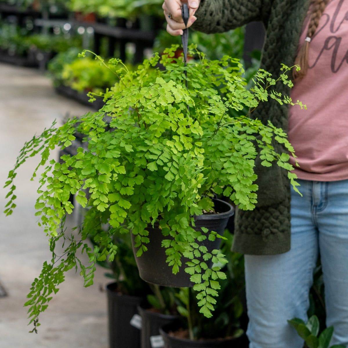 10 Beautiful Plants That Attract Fireflies to Your Garden